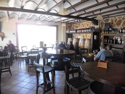 Mi Cortijo cats and dogs 004