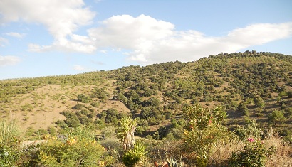 Casa Joya view